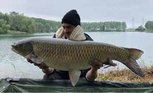 Grass Carp