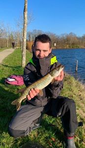 Northern Pike