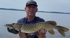 Northern Pike