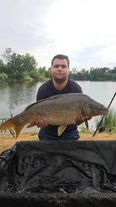 Mirror Carp