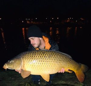 Common Carp