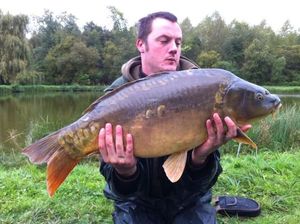 Mirror Carp