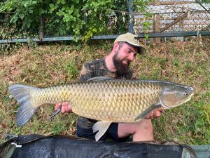 Grass Carp