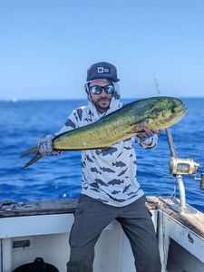 Dolphinfish