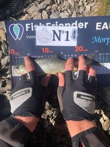 Arctic Char