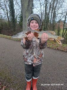 Northern Pike