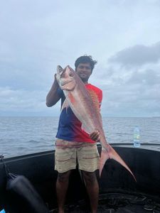 Rusty job fish
