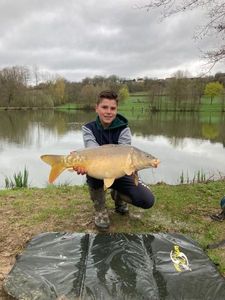 Mirror Carp