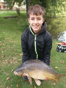 Mirror Carp