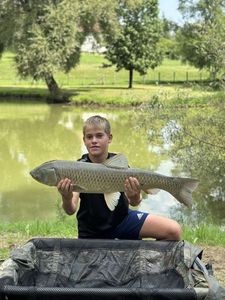 Grass Carp