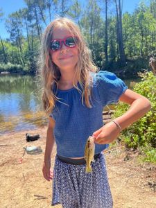 Largemouth Bass