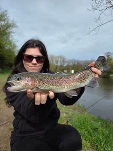 Rainbow Trout