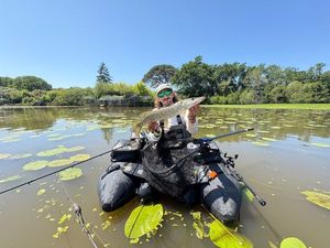 Northern Pike
