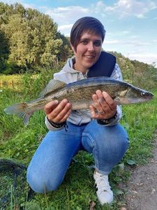 Zander