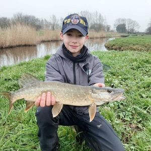 Northern Pike