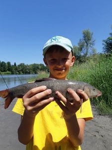 Barbel
