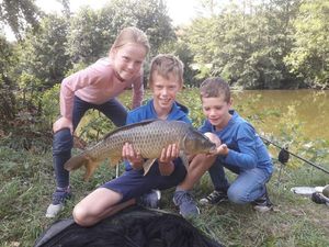 Common Carp