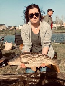 Common Carp