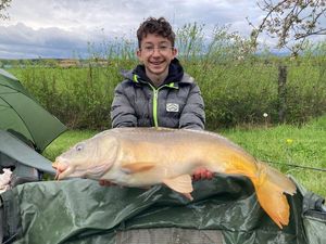 Mirror Carp