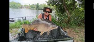 Mirror Carp