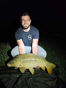 Mirror Carp