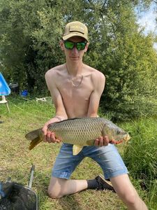 Common Carp