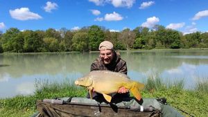 Mirror Carp