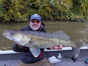 Zander
