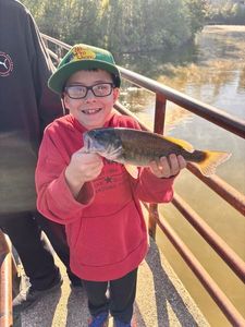 Smallmouth Bass