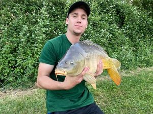 Mirror Carp