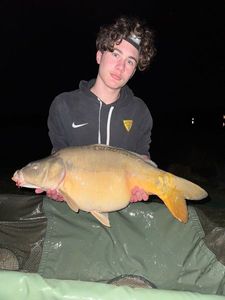 Mirror Carp
