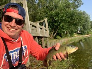 Tench