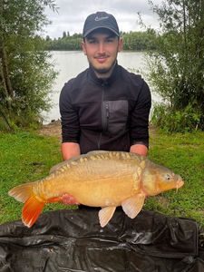 Mirror Carp