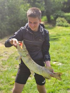 Northern Pike