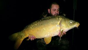 Mirror Carp