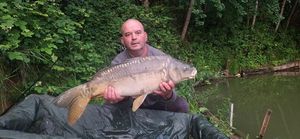Mirror Carp