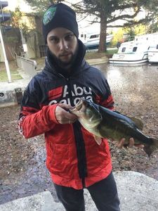 Largemouth Bass