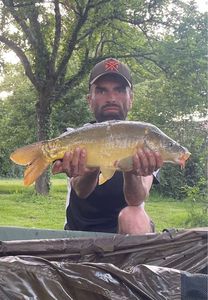 Leather Carp