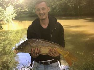 Mirror Carp