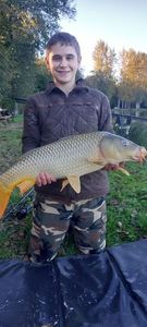 Common Carp