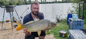 Common Carp