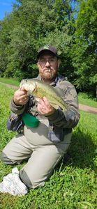 Smallmouth Bass