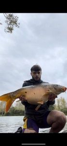 Mirror Carp
