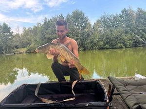 Mirror Carp