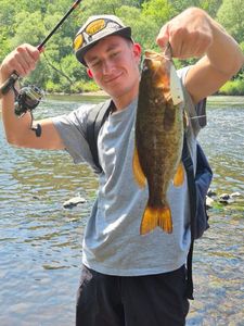 Smallmouth Bass