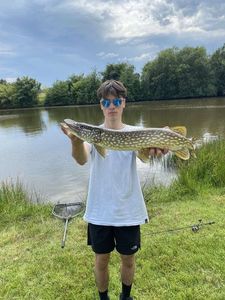 Northern Pike