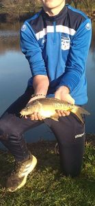 Mirror Carp