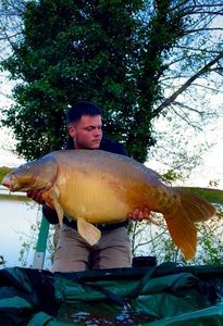 Mirror Carp