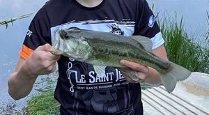 Smallmouth Bass