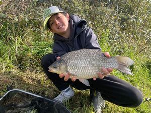 Crucian Carp